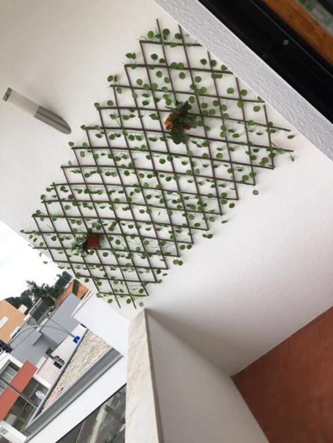 Quarto Paris Privado 维亚纳堡 外观 照片